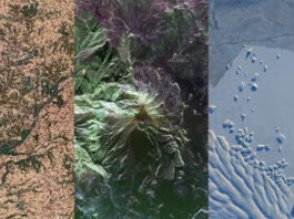 Insights on NISAR: Key Facts About U.S.-India Satellite Collage of image taken from space of places on earth