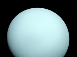 Voyager 2 Data Unlocks Mysteries of Uranus for NASA Uranus