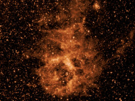 NASA’s SPHEREx Telescope Starts Full-Sky Imaging Infrared image of a glowing orange dust cloud in space, surrounded by a dense field of stars against a dark background, captured by NASA’s SPHEREx mission.