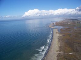 NASA Space Station Sensor Detects California Coastal Contamination Plumes flowing into the Pacific Ocean from the heavily polluted Tijuana River, seen here with the San Diego sky-line to the north