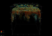 NASA General Counsel Office Seeks New Job Applicants An image from a 3D simulation showing the evolution of turbulent flows in the upper layers of the Sun. The more saturated and bright reds represent the most vigorous upward or downward twisting motions. Clear areas represent areas where there is only relatively slow up-flows, with very little twisting.