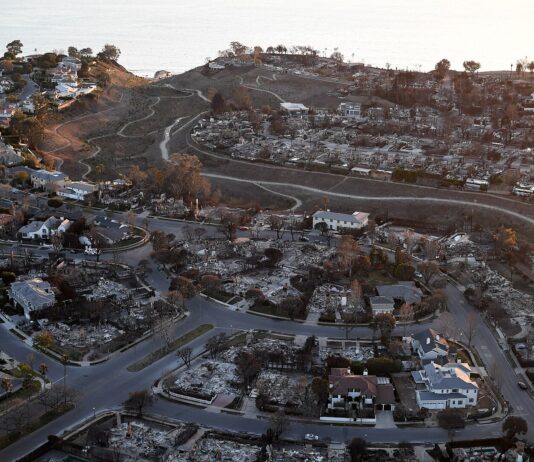 AI Startups Aid in Prescribed Burns and Early Wildfire Alerts Wildfire Prevention: AI Startups Support Prescribed Burns, Early Alerts