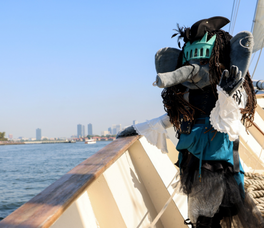 Sea of Thieves & Xbox Support NY Liberty Playoff Drive NY Liberty x Sea of Thieves Ellie the Elephant Image