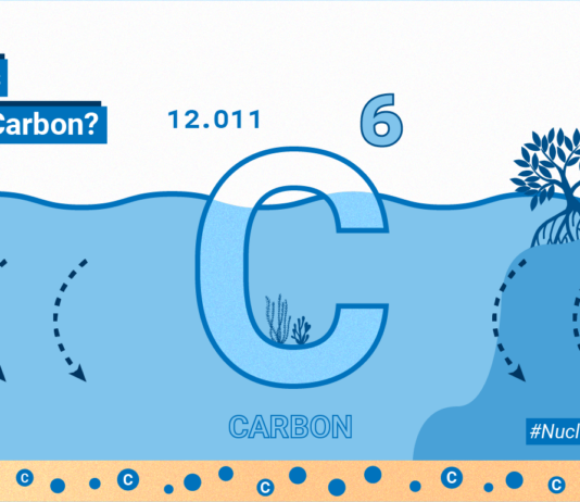 Understanding the Concept of Blue Carbon What Is Blue Carbon?