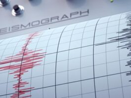 AI Tunes In to Earth’s Conversations When the Earth Talks, AI Listens