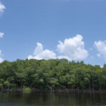 NASA Science Backs Efforts to Restore the Everglades NASA Data Supports Everglades Restoration