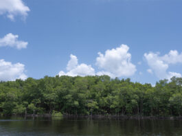 NASA Science Backs Efforts to Restore the Everglades NASA Data Supports Everglades Restoration