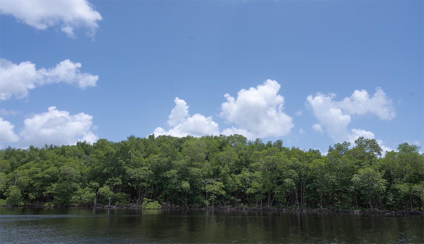 NASA Data Supports Everglades Restoration