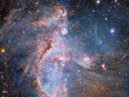 Hubble Observes Star Formation in Neighboring Galaxy Hubble Spots Stellar Sculptors in Nearby Galaxy - NASA Science