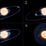 NASA Webb Reveals Unexpected Findings from Star-Devoured Planet NASA Webb’s Autopsy of Planet Swallowed by Star Yields Surprise - NASA Science