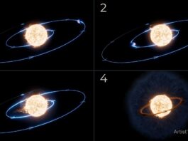 NASA Webb Reveals Unexpected Findings from Star-Devoured Planet NASA Webb’s Autopsy of Planet Swallowed by Star Yields Surprise - NASA Science