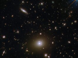 NASA’s Hubble Captures Distant and Nearby Galaxies Hubble Images Galaxies Near and Far - NASA Science