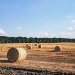 Future Threat: Today’s Encrypted Data at Risk Tomorrow Harvest now, decrypt later: Why today’s encrypted data isn’t safe forever