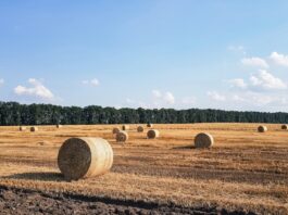 Future Threat: Today’s Encrypted Data at Risk Tomorrow Harvest now, decrypt later: Why today’s encrypted data isn’t safe forever