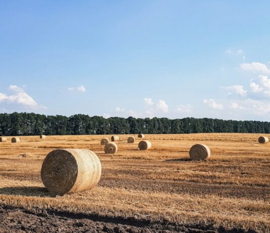 Future Threat: Today’s Encrypted Data at Risk Tomorrow Harvest now, decrypt later: Why today’s encrypted data isn’t safe forever