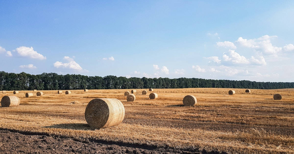 Harvest now, decrypt later: Why today’s encrypted data isn’t safe forever