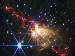 NASA’s Stellar Jet Discovery Gaseous yellow-orange filaments look like a flower seen from the side and tilted slightly from upper left to lower right, slightly higher than the center of the frame. Extending from the flower to upper left and lower right are red gas outflows that have an overall shape of tall, narrow triangles with rounded tips. Each red triangle is made up of wavy, irregular lines. Dozens of stars are scattered across the field. One particularly bright white star with eight diffraction spikes is located at the top of the yellow rose. Another bright blue star with even more prominent diffraction spikes is to its lower left. The background of space is black.