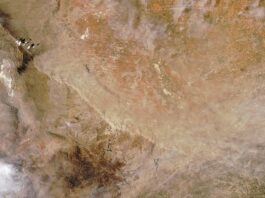 Texas Hit by Dust Storm – NASA Research Impacted Wave of Dust Rolls Through Texas - NASA Science