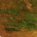 Australia’s iconic “Red Centre” transforms into lush green landscape. Australia’s “Red Centre” Turns Green - NASA Science