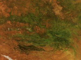 Australia’s iconic “Red Centre” transforms into lush green landscape. Australia’s “Red Centre” Turns Green - NASA Science