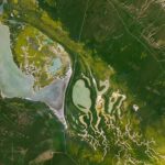 NASA Science Blossoms on Fault Line Discovery. A Fault Line in Full Bloom - NASA Science