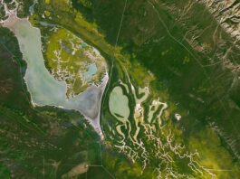 NASA Science Blossoms on Fault Line Discovery. A Fault Line in Full Bloom - NASA Science