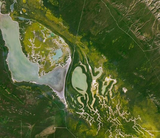 NASA Science Blossoms on Fault Line Discovery. A Fault Line in Full Bloom - NASA Science
