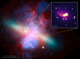 New XRISM telescope detects hot wind from galaxy M82. NASA-JAXA’s XRISM Telescope Clocks Hot Wind of Galaxy M82 - NASA Science