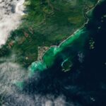 NASA Science Captures Spawn with Satellite Technology Satellite Spots a Spawn - NASA Science