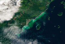 NASA Science Captures Spawn with Satellite Technology Satellite Spots a Spawn - NASA Science