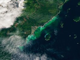 NASA Science Captures Spawn with Satellite Technology Satellite Spots a Spawn - NASA Science