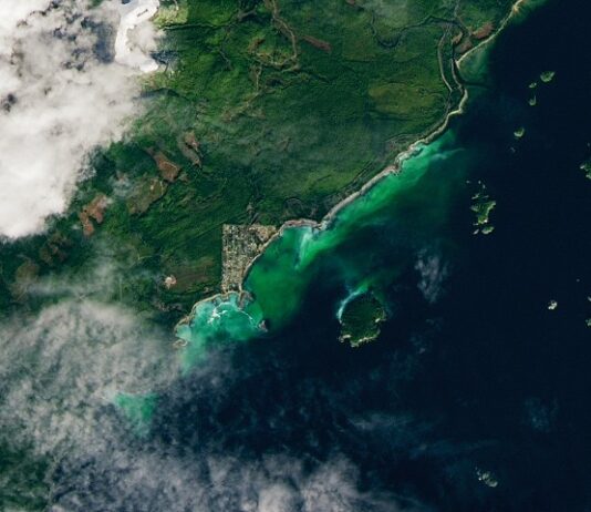 NASA Science Captures Spawn with Satellite Technology Satellite Spots a Spawn - NASA Science