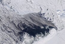 Barents Sea linked to diminishing Arctic sea ice – NASA Study Barents Sea Tied to Low Arctic Sea Ice - NASA Science