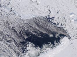 Barents Sea linked to diminishing Arctic sea ice – NASA Study Barents Sea Tied to Low Arctic Sea Ice - NASA Science
