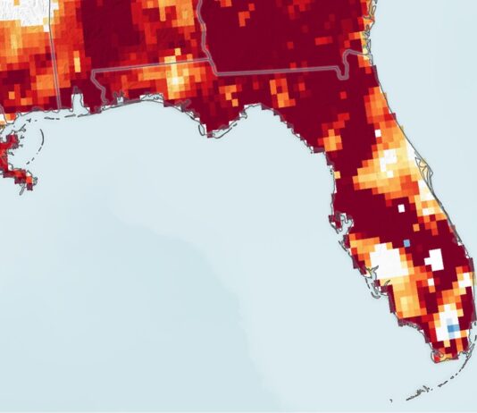 Florida’s Drought Crisis – NASA’s Scientific Perspective. Drought Parches Florida - NASA Science