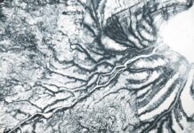 NASA Reveals Detailed Mapping of James Bay Lowlands’ Geography Contours of the James Bay Lowlands - NASA Science