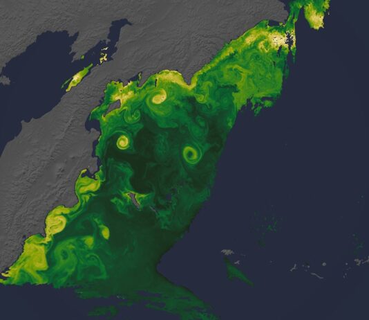 NASA Unveils Stunning New Earth Images from (S)PACE Mission New NASA Views of Earth, From (S)PACE - NASA Science