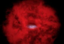 NASA Links Chandra and Webb Observations to Uncover Cosmic Mysteries NASA Connects Little Red Dots with Chandra, Webb - NASA Science