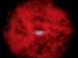 NASA Links Chandra and Webb Observations to Uncover Cosmic Mysteries NASA Connects Little Red Dots with Chandra, Webb - NASA Science