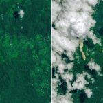 NASA Reports Landslides in Papua New Guinea Due to Cyclone Rains Cyclone Rains Spur Papua New Guinea Landslides - NASA Science