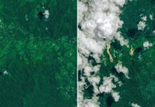 NASA Reports Landslides in Papua New Guinea Due to Cyclone Rains Cyclone Rains Spur Papua New Guinea Landslides - NASA Science