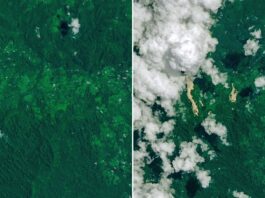 NASA Reports Landslides in Papua New Guinea Due to Cyclone Rains Cyclone Rains Spur Papua New Guinea Landslides - NASA Science