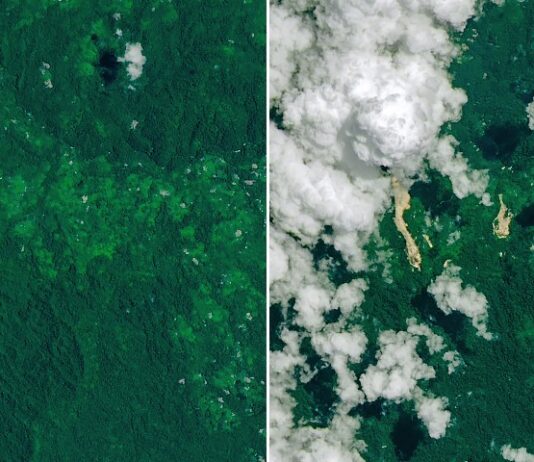 NASA Reports Landslides in Papua New Guinea Due to Cyclone Rains Cyclone Rains Spur Papua New Guinea Landslides - NASA Science