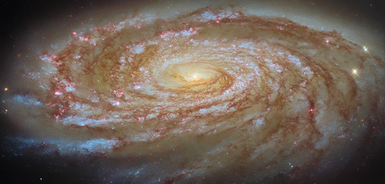 1780057466 cq5dam.web .1280.1280.jpeg Hubble Captures M88 on Journey to Center of Virgo Cluster - NASA Science