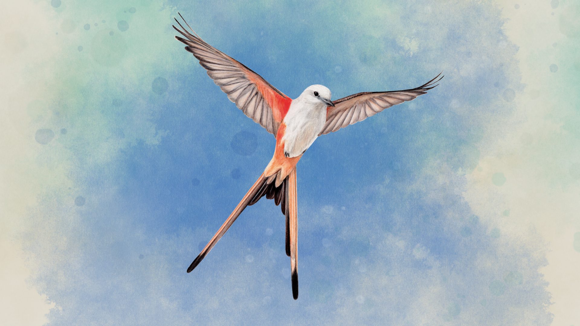 19581cfa8eab94506b391b656967a28c8ba5a7ef.jpg Wingspan swoops onto PlayStation on October 11