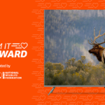 Support Wildlife with Fire TV and Tom’s of Maine Stream to Support the National Wildlife Federation This May with Fire TV and Tom’s of Maine