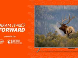 Support Wildlife with Fire TV and Tom’s of Maine Stream to Support the National Wildlife Federation This May with Fire TV and Tom’s of Maine