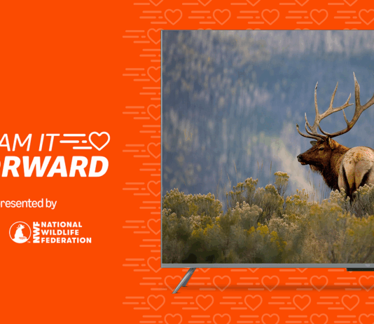 Support Wildlife with Fire TV and Tom’s of Maine Stream to Support the National Wildlife Federation This May with Fire TV and Tom’s of Maine