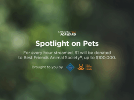Support Homeless Pets This May: Fire TV and Partners Stream to Support Homeless Pets This May with Fire TV, Blue Buffalo, and Best Friends Animal…