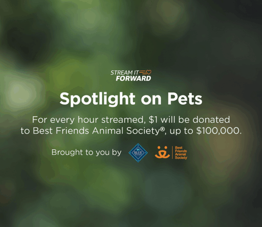 Support Homeless Pets This May: Fire TV and Partners Stream to Support Homeless Pets This May with Fire TV, Blue Buffalo, and Best Friends Animal…